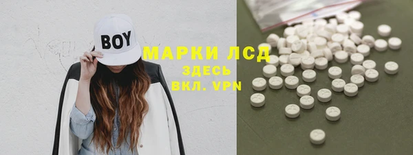 шишки Абаза