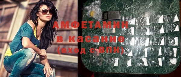 шишки Абаза