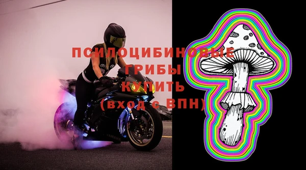 стаф Алексин