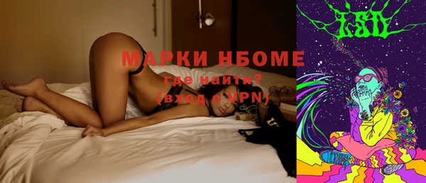 стаф Алексин