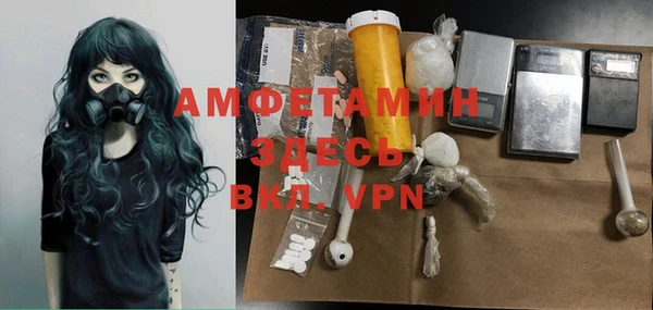 шишки Абаза