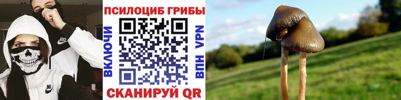 Псилоцибиновые грибы Magic Shrooms  где купить наркоту  Ува 